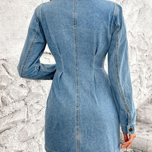 Pocketed Button Up Long Sleeve Denim Dress